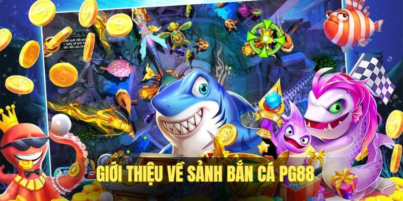 Bắn cá PG88 là sảnh cược uy tín cao Bắn cá PG88 là sảnh cược uy tín cao