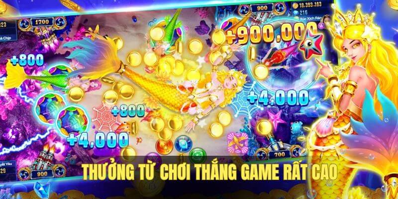 Thưởng cho người chiến thắng game săn cá cao