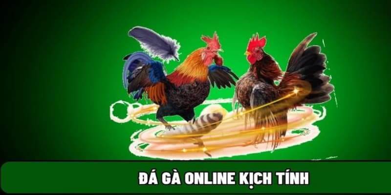 Tổng hợp các thể loại đá gà tại nhà cái E2Bet